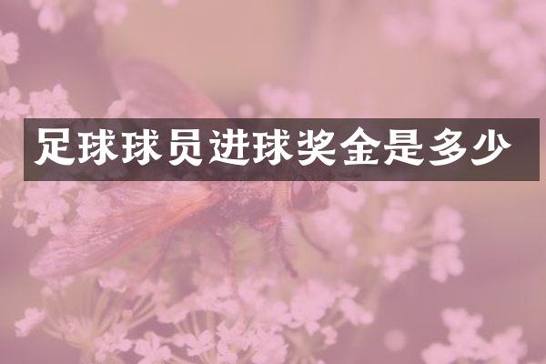 足球球员进球奖金是多少