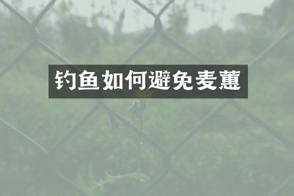 钓鱼如何避免麦蕙