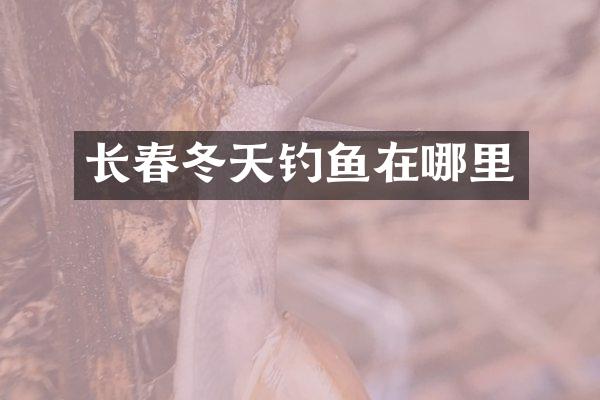 长春冬天钓鱼在哪里