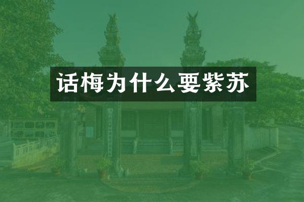 话梅为什么要紫苏