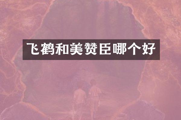 飞鹤和美赞臣哪个好