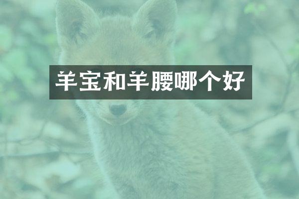 羊宝和羊腰哪个好