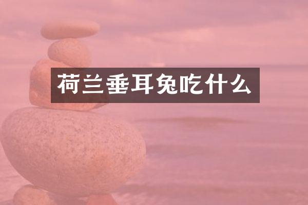 荷兰垂耳兔吃什么