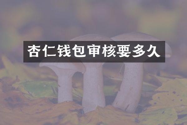 杏仁钱包审核要多久