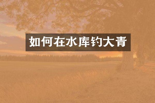 如何在水库钓大青