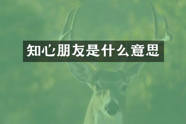知心朋友是什么意思