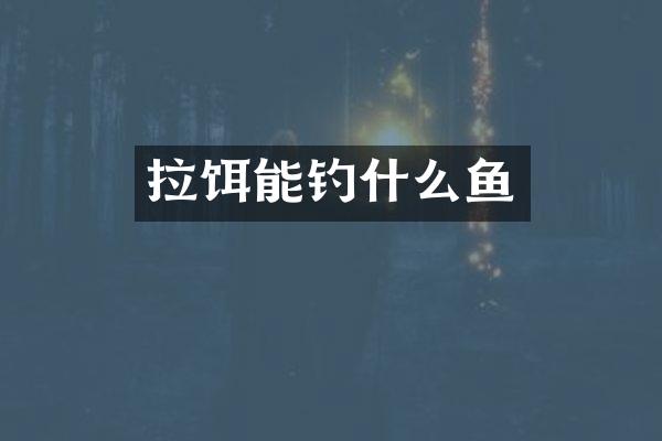 拉饵能钓什么鱼