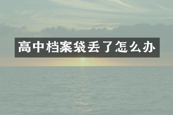 高中档案袋丢了怎么办