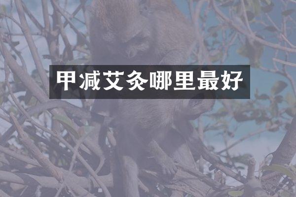 甲减艾灸哪里最好