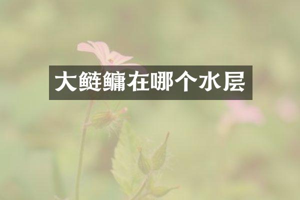 大鲢鳙在哪个水层