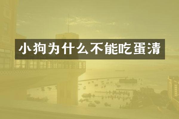 小狗为什么不能吃蛋清