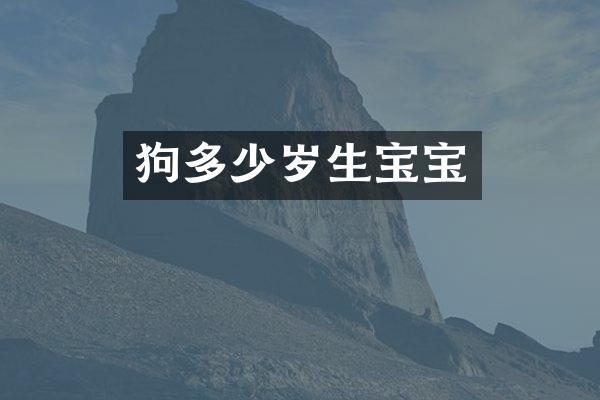 狗生宝宝