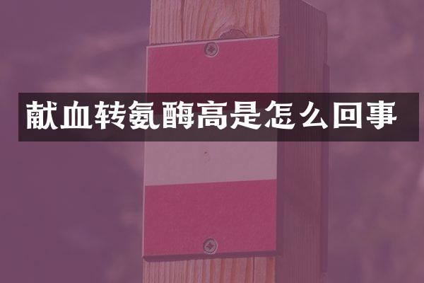献血转氨酶高是怎么回事