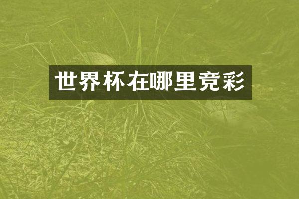 世界杯在哪里竞彩