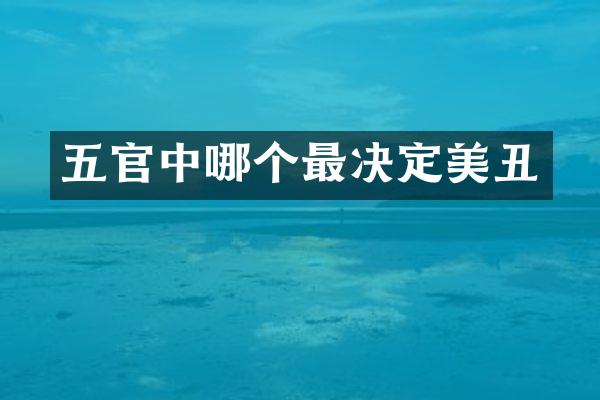 五官中哪个最决定美丑