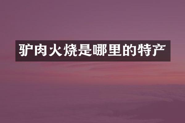 驴肉火烧是哪里的特产