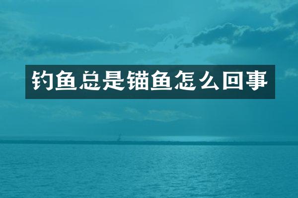 钓鱼总是锚鱼怎么回事