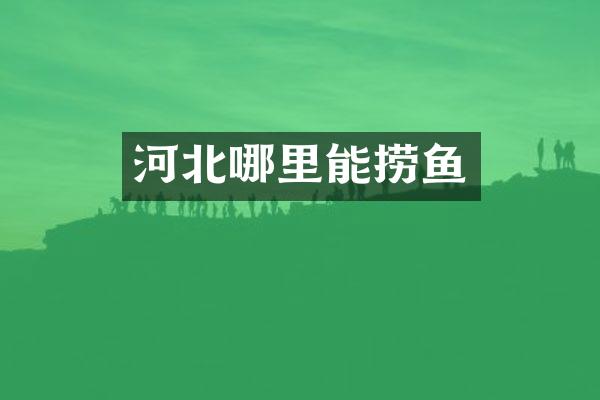 河北哪里能捞鱼