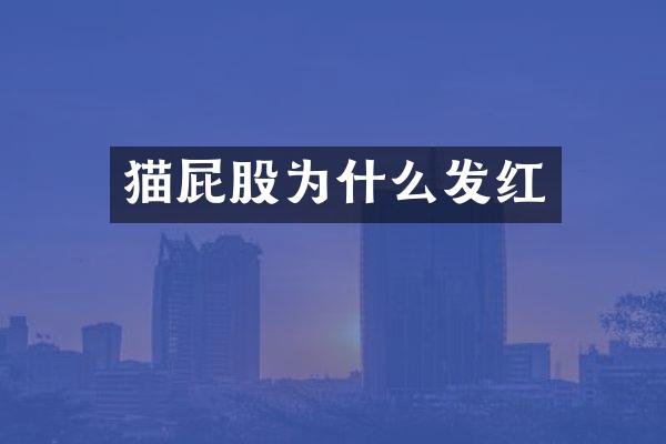 猫屁股为什么发红