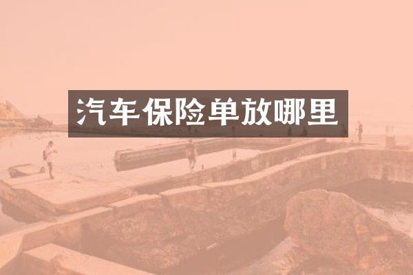 汽车保险单放哪里