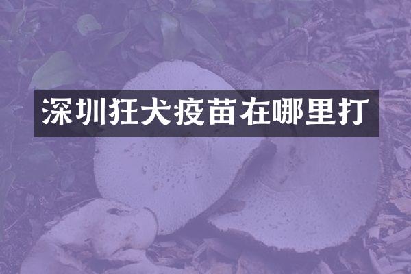 深圳狂犬疫苗在哪里打