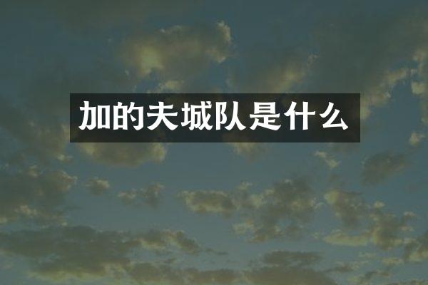 加的夫城队是什么