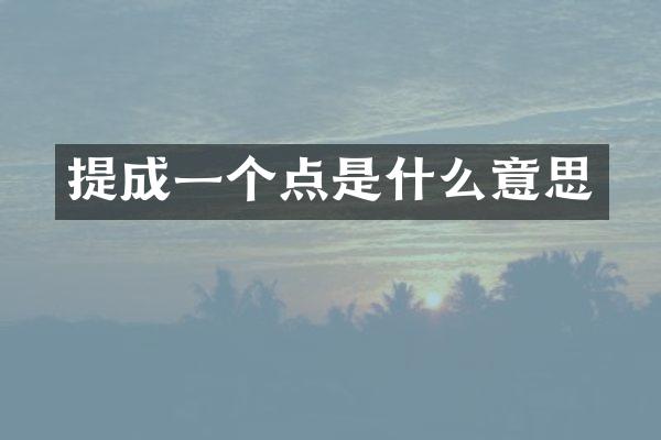 一个点是什么意思