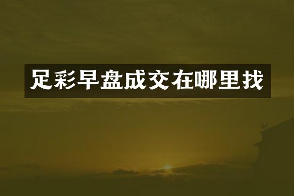 早盘成交在哪里找
