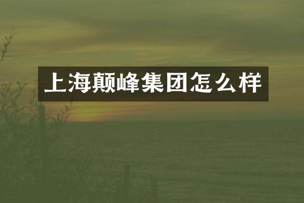 上海颠峰集团怎么样