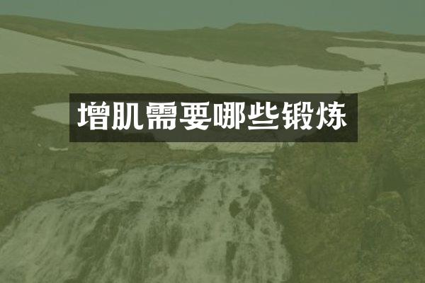 增肌需要哪些锻炼