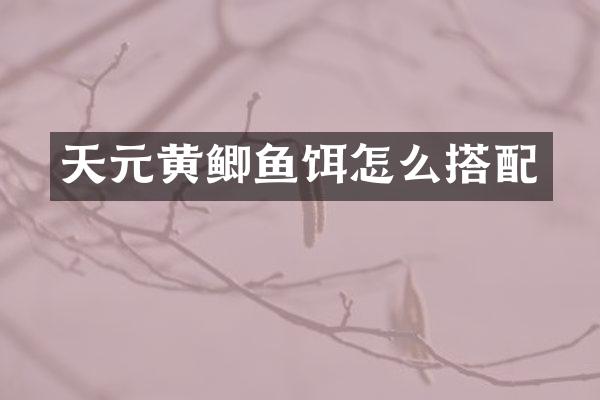 天元黄鲫鱼饵怎么搭配