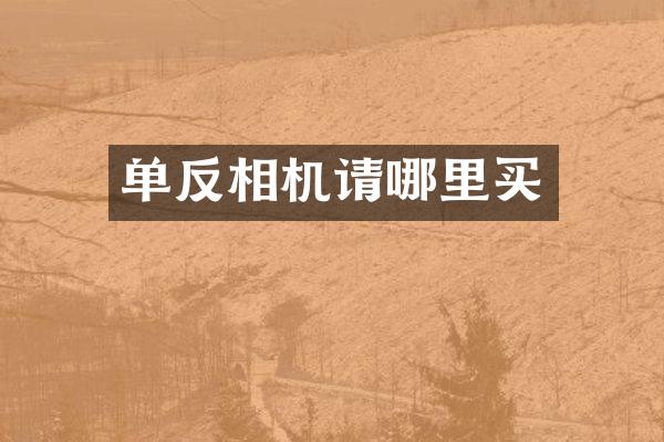 单反相机请哪里买