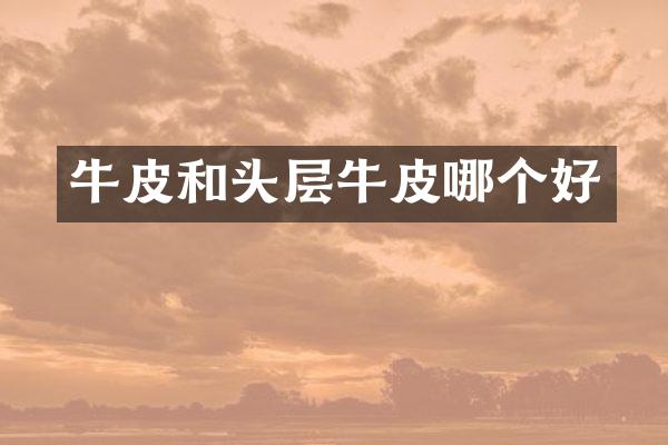 牛皮和头层牛皮哪个好