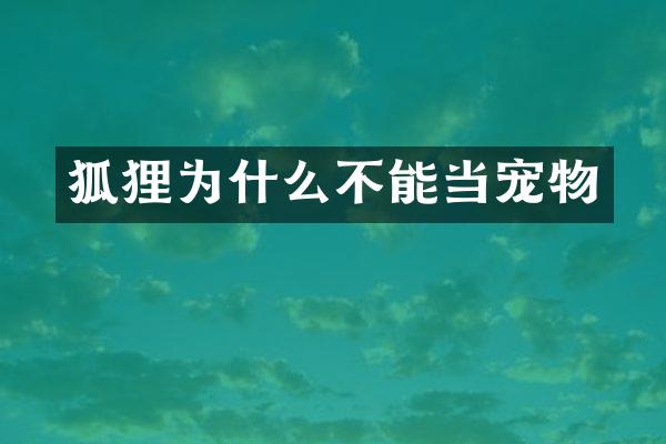 狐狸为什么不能当宠物