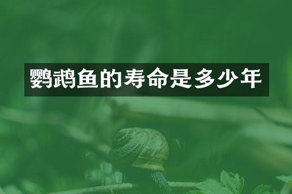 鹦鹉鱼的寿命是多少年