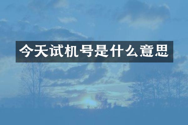 今天试机号是什么意思