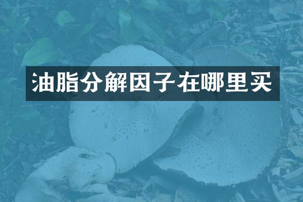 油脂分解因子在哪里买