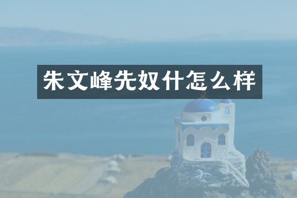 朱文峰先奴什怎么样