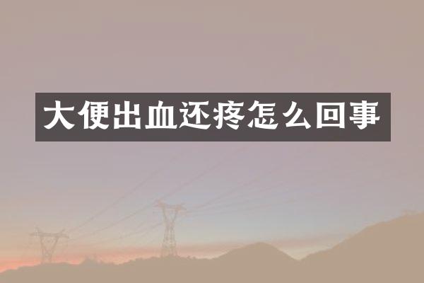 大便出血还疼怎么回事