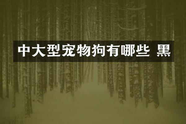 中大型宠物狗有哪些 黑
