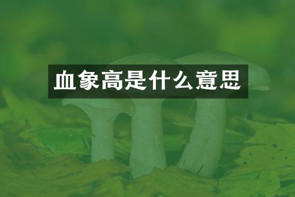 血象高是什么意思