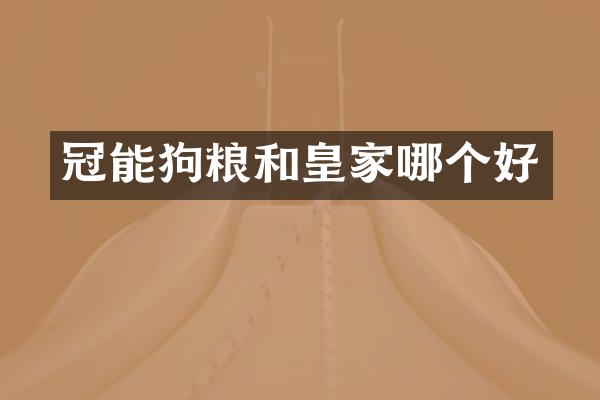 冠能和皇家哪个好