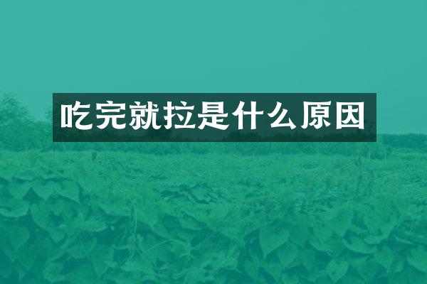 吃完就拉是什么原因