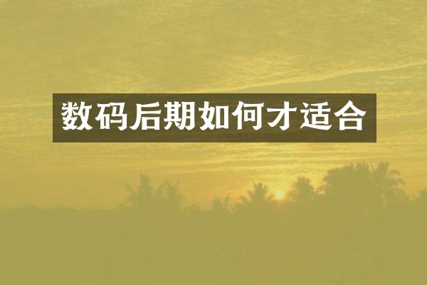 数码后期如何才适合