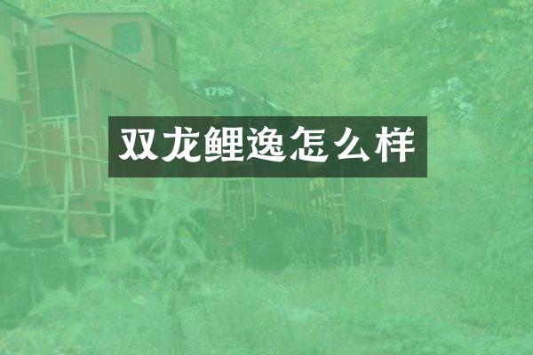 双龙鲤逸怎么样