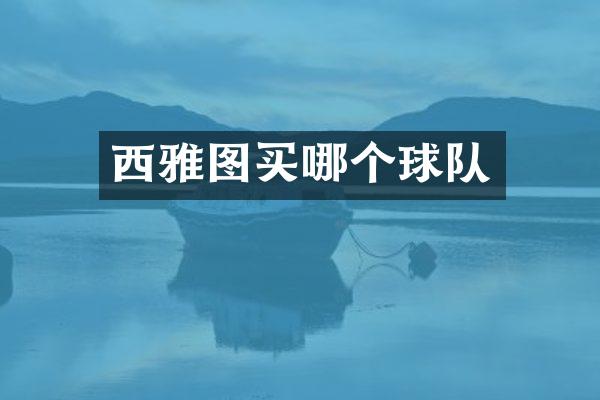 西雅图买哪个球队