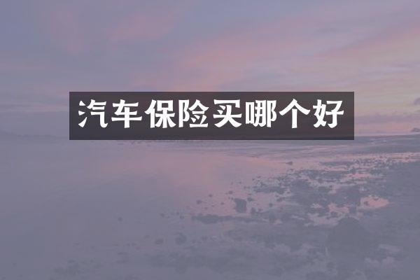 汽车保险买哪个好