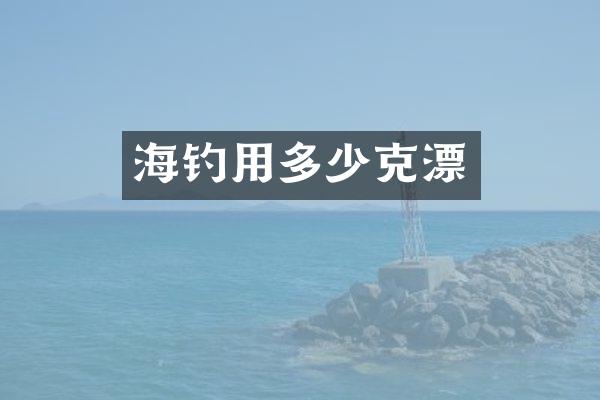 海钓用多少克漂