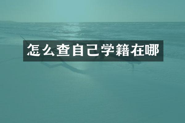 怎么查自己学籍在哪