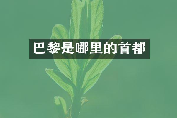 巴黎是哪里的首都